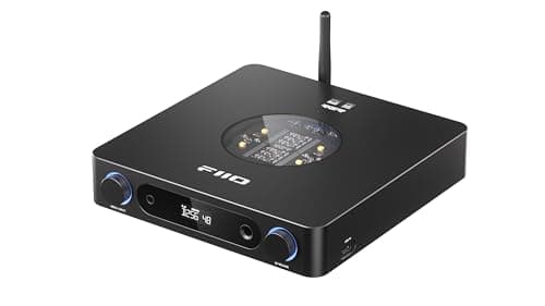 FiiO K13 R2R Desktop DAC & Headphone Amp, High-Fidelity 24Bit R2R DAC, Powerful 2400mW Output, LDAC Bluetooth Streaming, Dual Power Supply, 10-Band PEQ, Balanced XLR & RCA Audio Output (Black) - Audio Interface