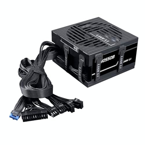 Lian Li PE 550W - Power Supply