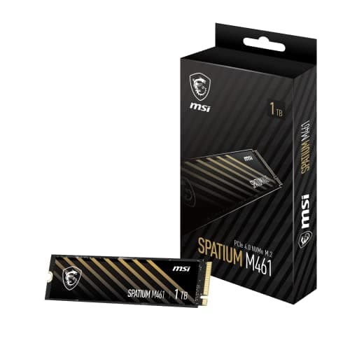 MSI SPATIUM M461 1 TB - Storage