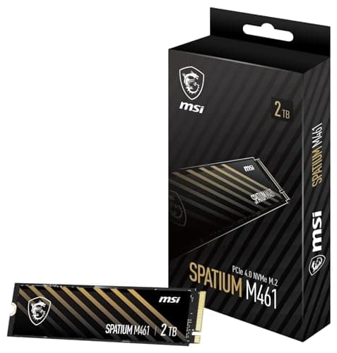 MSI SPATIUM M461 4 TB - Storage