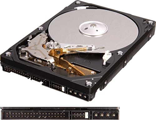Western Digital Caviar Blue 160 GB - Storage