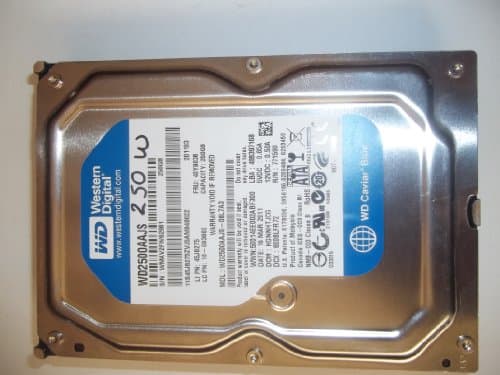 Western Digital Caviar Blue 250 GB - Storage