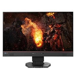 Eizo FS2434-BK - Monitor