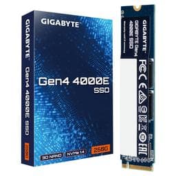 Gigabyte 4000E 250 GB - Storage