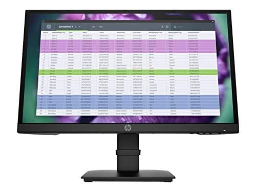 HP P22 G4 - Monitor