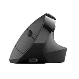 JLab JBuds - Mouse
