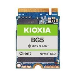 KIOXIA BG5 256 GB - Storage