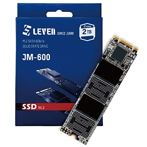 Leven JM600 256 GB - Storage