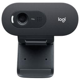 Logitech C505 - Webcam