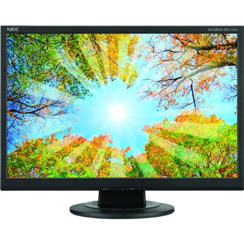 NEC AS191WM-BK - Monitor