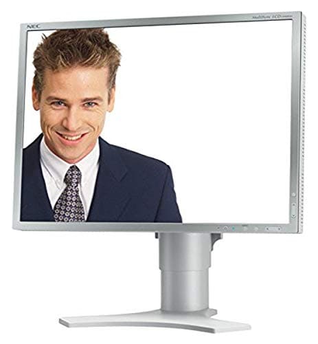 NEC LCD1990SXi - Monitor