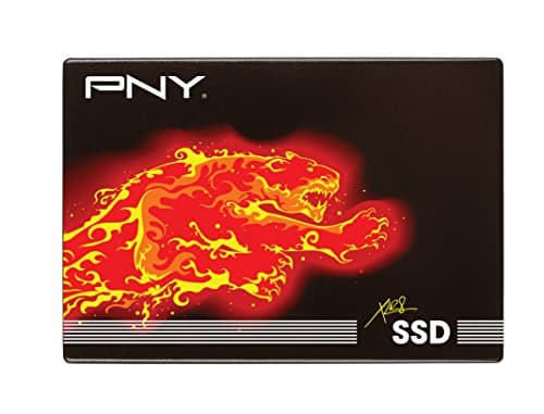 PNY CS2111 240 GB - Storage