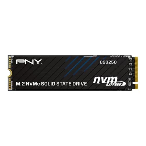 PNY CS3250 1 TB - Storage