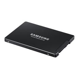 Samsung PM883 480 GB - Storage