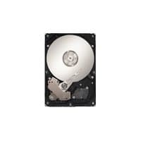 Seagate ST3500320NS-IM 500 GB - Storage