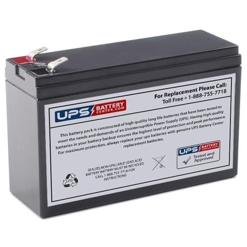 APC BN4001 - UPS / Surge Protector