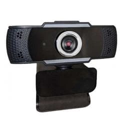 Adesso Cybertrack H4P - Webcam