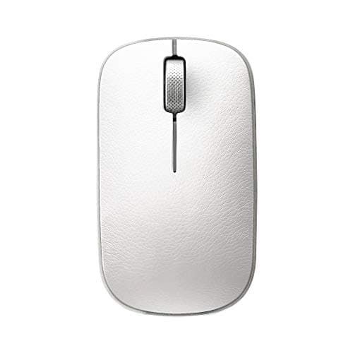 AZIO RM-RCM-L-06 - Mouse