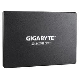 Gigabyte GP-GSTFS31100TNTD 1 TB - Storage