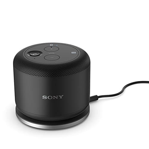 Sony BSP10 - Speakers