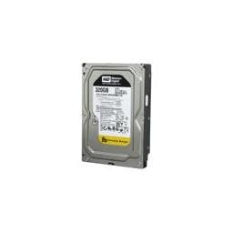 Western Digital RE3 250 GB - Storage